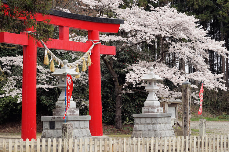 Menyelami Kedalaman Spiritualitas dalam Agama Shinto